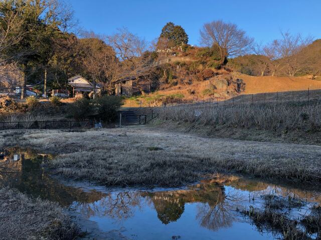 小池にて