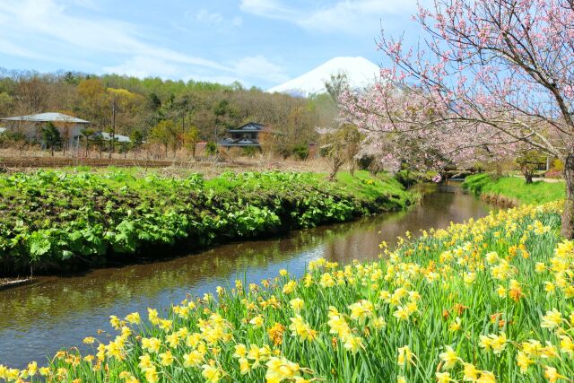 忍野八海