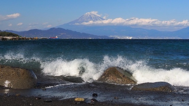 仲春の三保松原から望む富士山