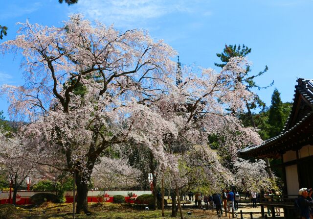 醍醐寺