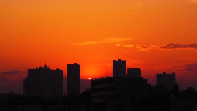 池上梅園の夕景