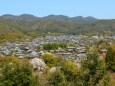 春の京都の街並み