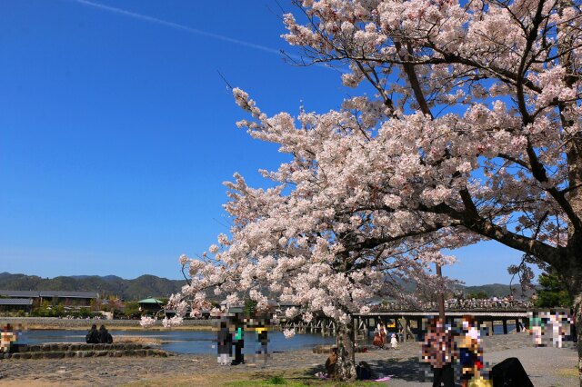 渡月橋