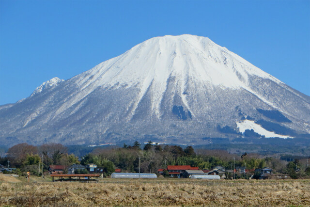 大山 早春 2