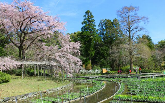 京都府立植物園