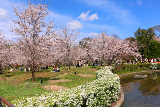 京都府立植物園