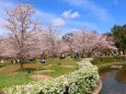 京都府立植物園