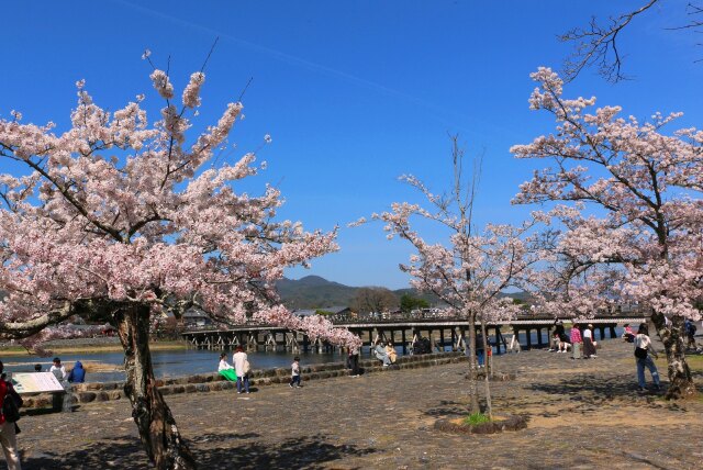 渡月橋