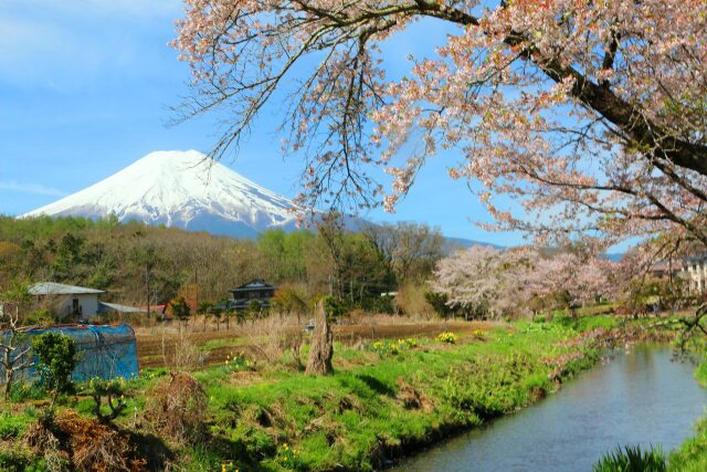 忍野八海