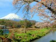 忍野八海