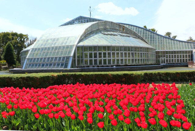 京都府立植物園