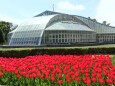 京都府立植物園