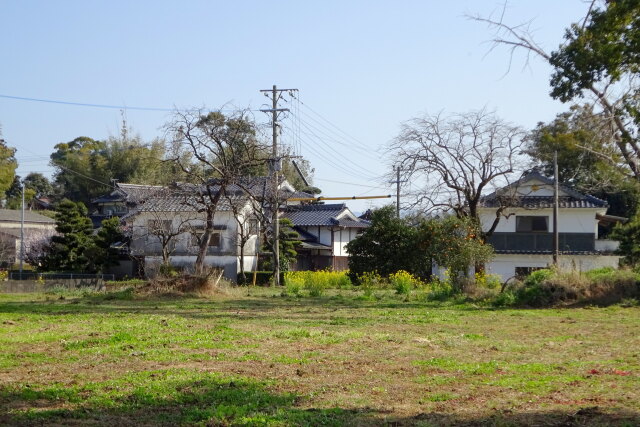 静かな里に訪れた春