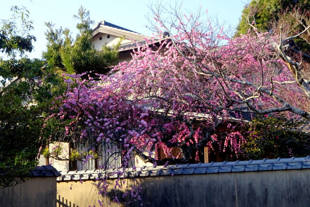 長崎街道の途中で