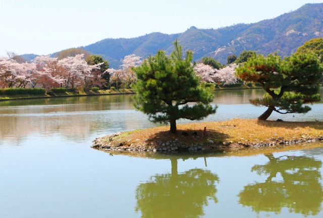 大覚寺