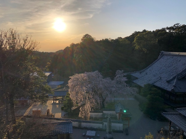 夕日と高月院