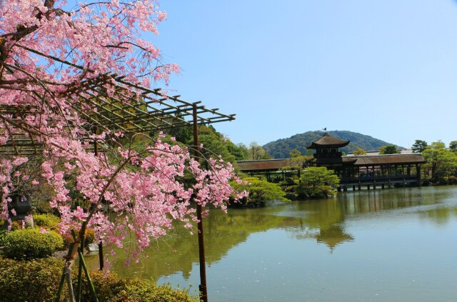 平安神宮