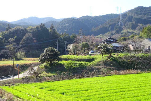 春の山里