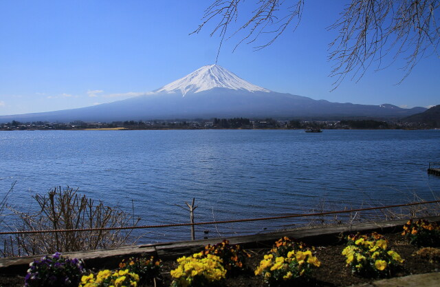 春の富士山