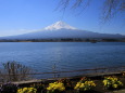 春の富士山