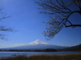 春の風景