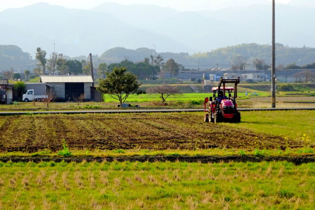 春の田園風景