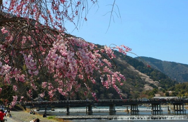 渡月橋