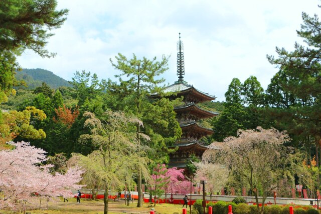 醍醐寺