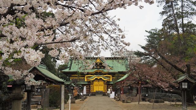 春の上野東照宮