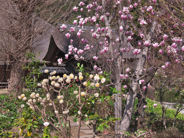 春の寺