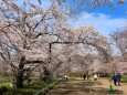 京都府立植物園