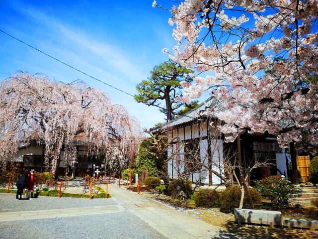 本満寺