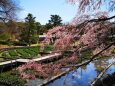 京都府立植物園