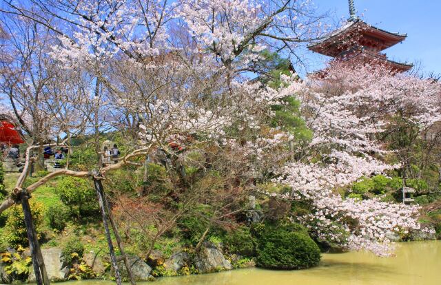 清水寺