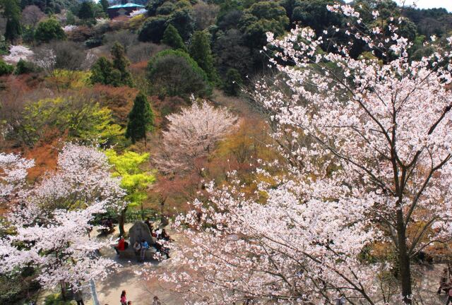 清水寺