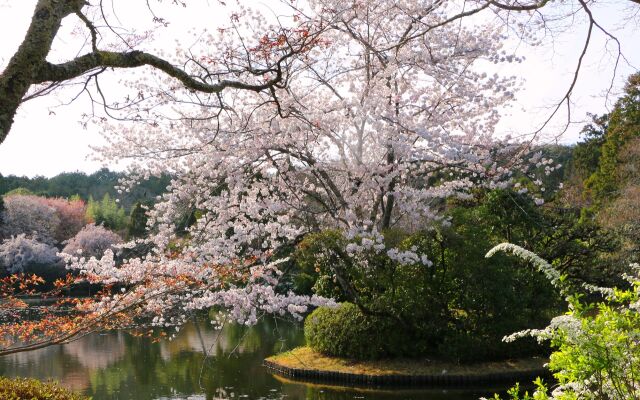 竜安寺