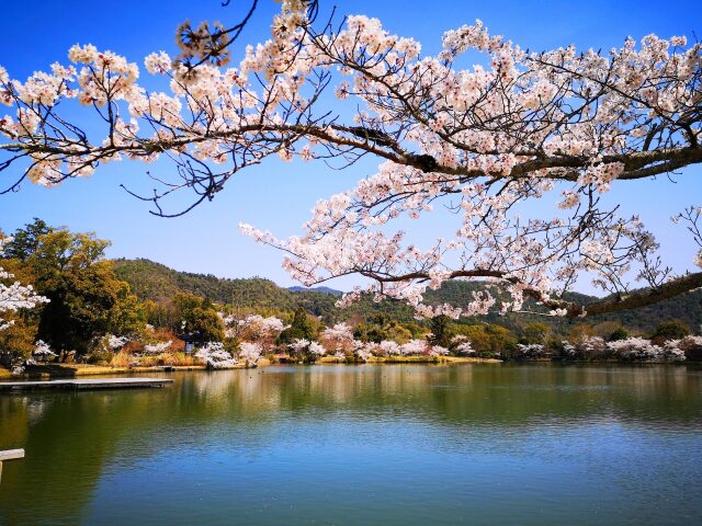 大覚寺