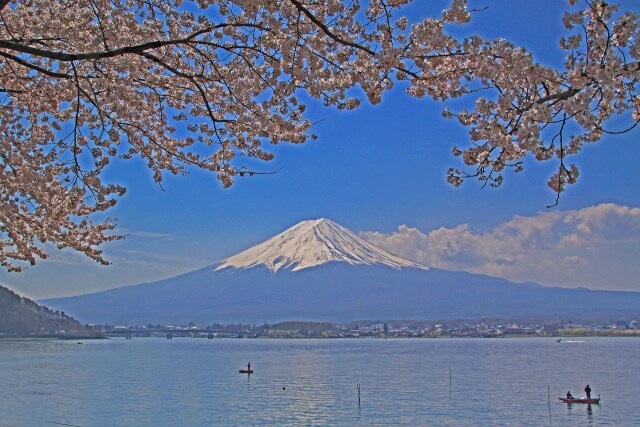 河口湖の富士