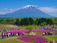 本栖湖リゾートから見る富士山