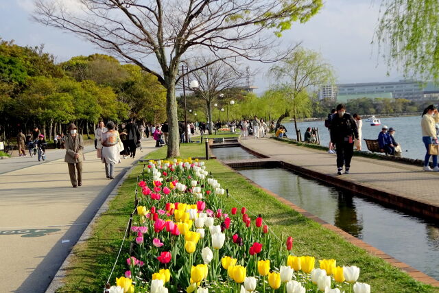 春の昼下がり 大濠公園