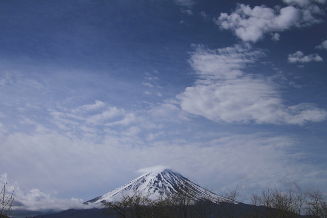 薄くなった富士山の雪