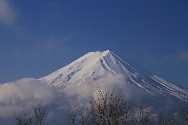 白くなった富士山