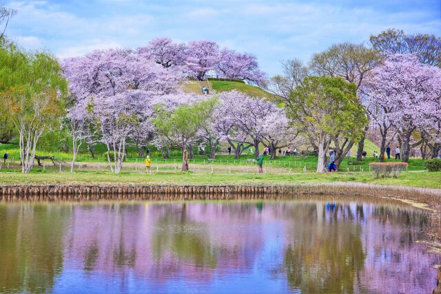 さきたま古墳公園