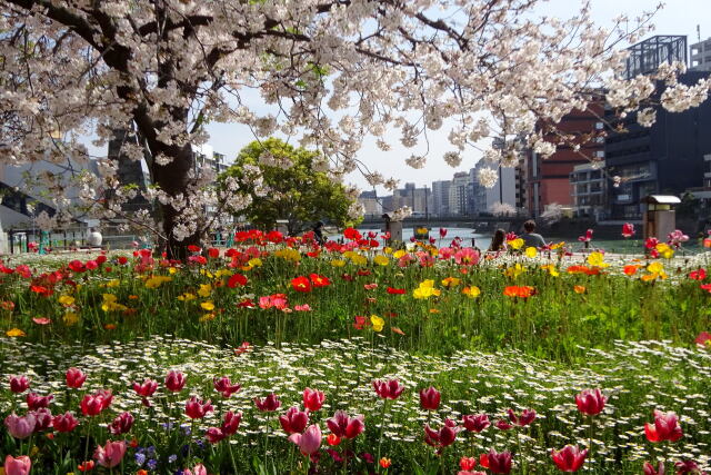 都会の花園 春爛漫