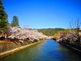 京都岡崎公園