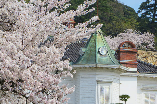 桜の季節 11 洋館にサクラ