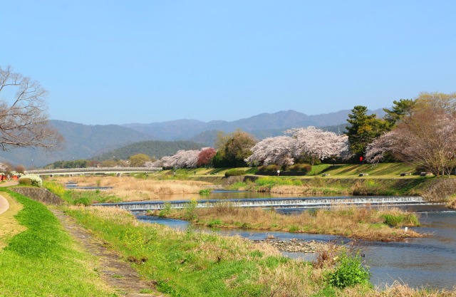 鴨川