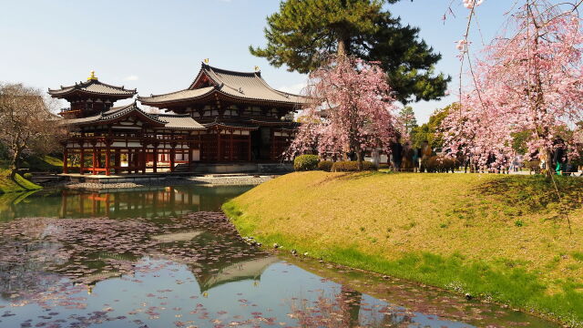 春の平等院