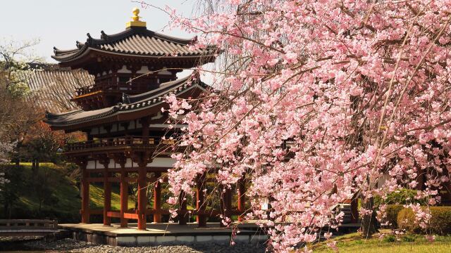 春の平等院