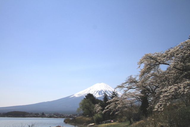 素敵な春景色